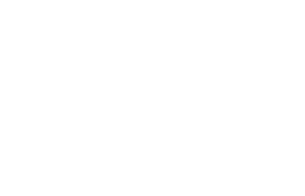 Ecowize
