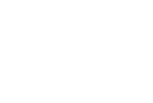 Salers x Nutscontact